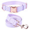 Dog Collar and Leash Set.Soft and Easy to Clean Vegan Leather with Rose Gold Metal Buckle for Small Medium Large Dogs (XS(8-12), Light Purple)