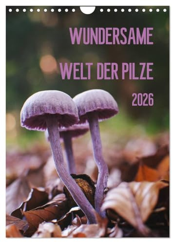 Wundersame Welt der Pilze (Wandkalender 2026 DIN A4 hoch), CALVENDO Monatskalender: Ein Kalender für Pilzfreunde (CALVENDO Orte)