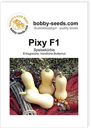 Pixy F1 Kürbissamen von Bobby-Seeds, Portion