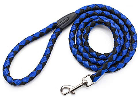 Accod Pet Nylon Lead Leash - Rope Training Leash for Medium & Large Dogs with Stainless Steel Buckle, 1.5M x 1.2CM (Blue)