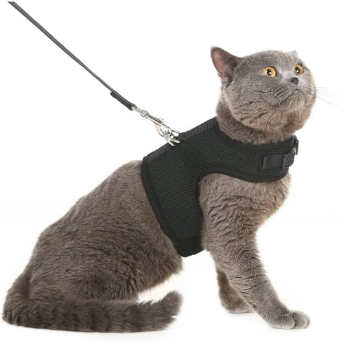 PUPTECK Katzengeschirr und Leine, weiches Netzgewebe, gepolstert, ausbruchsicher, für Katzen, kleine Hunde, Kaninchen, Kaninchen, Kaninchen, Schwarz, Größe XL