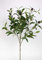 Seidenblumen Roß Olivenzweig Korsika 75cm ZF Kunstpflanzen künstlicher Zweig Oliven