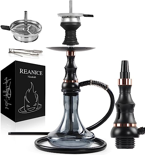REANICE 21 Shisha Set 1 Schlauch Premium Dickglas Shisha Kit mit Shisha Zubehör (Schwarz) …