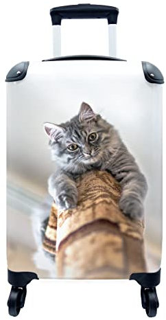 MuchoWow© Koffer Handgepäck Trolley Rollkoffer Kleine Reisekoffer mit 4 Rollen - Katze - Kratzbaum - Grau - Cabin Size < 55x40x23 & 55x40x20 cm - Fotokoffer - Kabinenkoffer - Boardgepäck