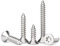 FandWay M5 Torx Selbstschneidende Schrauben,Edelstahl A2-70 Senkkopfschrauben Blechschrauben M5x16/20/25/30/40mm Holzbauschrauben Sortiment mit 1 Stück Bits (20 Je Größe)