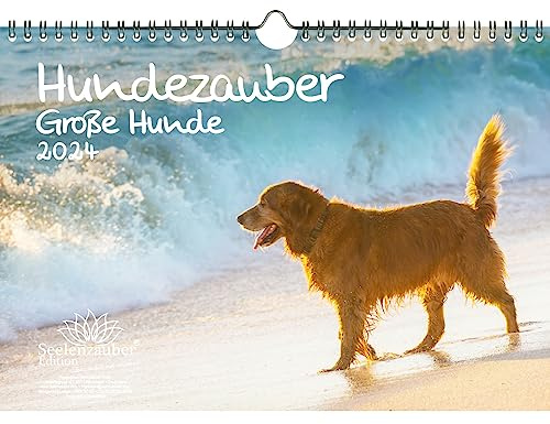 Hundezauber Große Hunde DIN A4 Kalender für 2024 Welpen und Hunde - Seelenzauber
