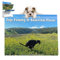 2024 - Pooping Dogs Calendar,Hund Pooping Wandkalender - Dogs Pooping In Beautiful Places Calendar,Kalender für Hunde, Wandkalender,Geschenk Für Freunde,Familie,Nachbarn