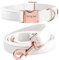 ARING PET Dog Collar and Lead Set, White Velvet Dog Collar and Leash with Metal Buckle, Comfortable and Adjustable Pet Collar Set for Boys&Girls Dogs, X-Small