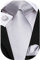 Hi-Tie Herren Krawatte Schwarz Paisley/Plaid/Streifen/Einfarbig Krawatten Set Einstecktuch Manschettenknöpfe Business Formal Hochzeit Meeting Geschenkbox,Silber solide