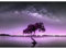 Runa Art Fototapete Nachthimmel Baum 352 x 250 cm Vlies Tapeten XXL Moderne Wandtapete Wohnzimmer Schlafzimmer Lila 9590011c