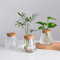 Hewory Terrarium Pflanzen Vase Glas: Modern Kleine Vasen für Tischdeko - Hydrokultur Ableger Pflanzen Glas with Holzlippe - Glasvase Propagation Station für Pflanzen Geschenk Wohnzimmer Büro