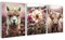 artissimo, Bilderset 3er-Set, PE6758-DS, 3 Bilder 30x40cm, moderne Bilderwand, Wandbilder-Set in rosa und beige, Alpaka, Hochlandrind, Blumenwiese, boho