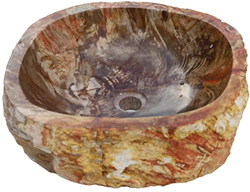 Guru-Shop Lavabo da Appoggio in Legno Fossile Massiccio, Ciotola di Lavaggio, Lavabo a Mano in Pietra Naturale - Modello 15, Beige, 15x65x48 cm, Lavabi, Lavabi Vasche da Bagno