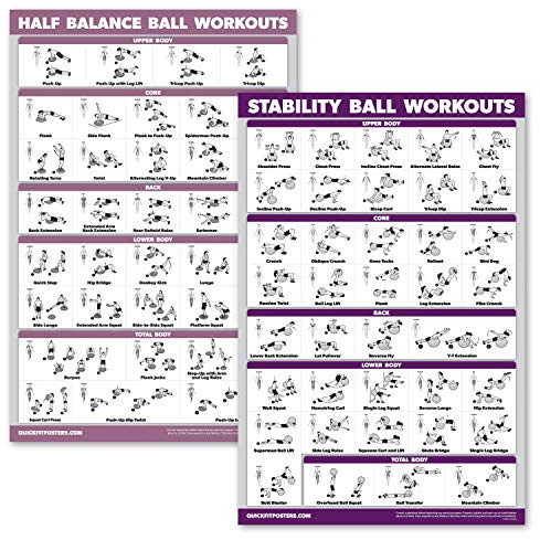 2er-Pack: Half Balance Ball Workout Poster + Yoga Ball Übungstabelle – Set mit 2 Workout-Postern (laminiert, 45,7 x 61 cm)
