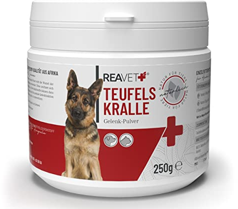 ReaVET Afrikanische Teufelskralle für Hunde & Katzen 250g - Natürliches Gelenkpulver zur Unterstützung der Gelenke & Beweglichkeit I Teufelskrallen Pulver Ohne Zusätze