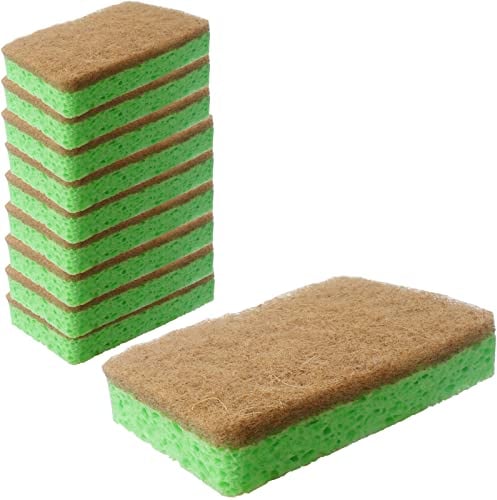 Roellgs 10 pack of natural kitchen sponges|Eco-friendly and compostable|Biodegradable|Cleaning products for heavy duty wash pads|Scratch free scrubbers