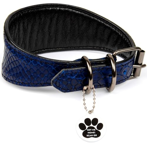 FAVPET Luxus Echtleder Windhund Halsband Breit mit QR Code Anhänger, Weiches Lederhalsband Hund Breit Whippet Italienisches Windspiel Saluki Lurcher Spanischer Galgo Greyhound Podenco (Blau, M)