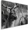 Feeby Bilder Hirsch Wald XXL 100x70 cm 1Teilig Wohnzimmer Schlafzimmer Modern Wandbilder Leinwandbilder Bild auf Leinwand Kunstdruck Wanddeko Design Natur Landschaft Schwarz Weiß