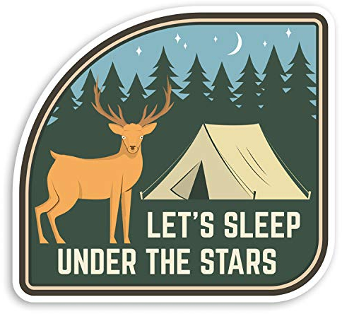 2 x 10 cm Wild Camping Vinyl Aufkleber – Wald Hirsch Zelt Gepäck Aufkleber #30509 (10 cm breit)
