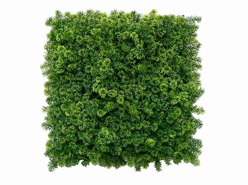 Easydeko Waldmoos Dunkel Mooswand – 50x50cm - 4 Stück – Künstliche Mooswand mit Blickdichter Rückseite, Hochdichtes Kunstmoos für Wände, Pflegeleichte Mooswand, Künstliches Moos für die Wand