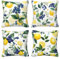 Kissenbezug 30x30 4er Set Leinen Kissenbezüge Zitrone Dekorative Sofakissen Zierkissen Pflanzen Couchkissen Outdoor Kissen Zierkissenbezüge Deko Kissen für Sofa Schlafzimmer Wohnzimmer Balkon -LI274