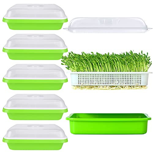 SHUESS 6 Stück Saatgut-Keimschale mit Abflusslöchern, BPA-frei, Kinderzimmer-Tablett, Microgreens, Anzuchtschalen, Weizengras-Züchter, Sprossenbehälter, Samenkeimung, Anzuchtschalen für Garten,