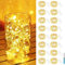 btfarm 16 Pack LED Fairy Lights Battery Operated, 2M/7FT 20LED Small String Lights Battery Powered Waterproof Mini Silver Wire Fairy Lights Indoor Outdoor for Jars Bedroom Christmas Party-Warm White