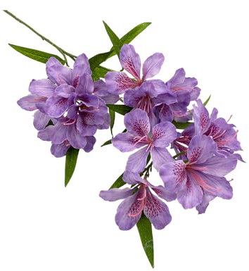 BQEE Künstliche Azaleen-Blumen, 3 Stück, künstliche Bougainvillea, realistisches Seidengrün für Tischdekoration, Heim- und Bürodekoration, Kranzherstellung, mehrere Farben (lila)