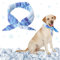 Kühlhalsband für Hunde, Hundehalsband Kühlend, Hunde Halstücher Kühlend, Kühlendes Halstuch für Hunde Kühlhalsband Bandana Atmungsaktiv Wärmeableitung Bandana Hund Geeignet für Kühlhunde im Sommer