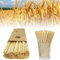 100 Pailles de blé bio de pailles écologiques pailles biodégradables respectueuses de l'environnement, 20cm/calibre 4 mm, pour les boissons dans les bars, les fêtes, la maison, cocktails