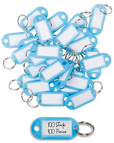WINTEX 100x Schlüsselanhänger beschriftbar - Strapazierfähige Schlüssel Anhänger mit Etiketten - Farbige Schlüsselanhänger zum Beschriften für Organisation oder Reisen - Hellblau