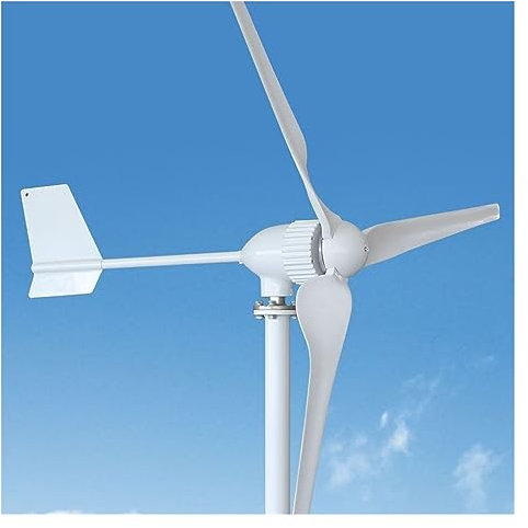 Turbina Eolica Turbina eolica 1KW 2KW 3KW 5KW Generatore di turbina eolica orizzontale ad alta efficienza per uso domestico e progetto per la ricarica domestica marina (dimensioni: solo turbina e