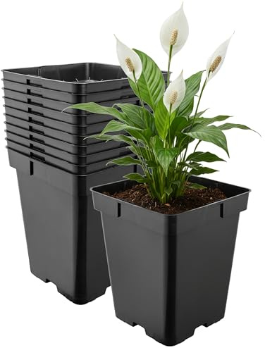 Garronda Pflanztopf Kunststoff 19,5 x 19,5 x 19 cm (5L) 10er Set eckig mit Drainagelöchern Blumentopf robust Pflanzentopf für Garten Gewächshaus Balkon Anzucht Innen Außenbereich Schwarz GD-0199