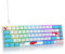 SOLIDEE 65 Percent Mechanical Gaming Keyboard,RGB Backlit Mini 65% Wired Keyboard with Red Switches,Compact USB-C Keyboard for Windows/Mac,68 Keys Anti-Ghosting for PC Laptop Typing Gaming(68 Sea)
