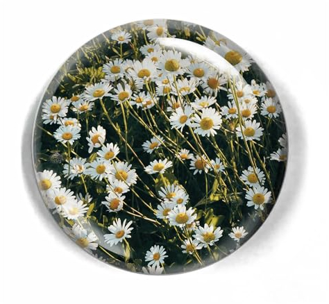 LWAY Kristall Kuppel Glas Briefbeschwerer 80mm (DAISY)