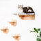 kletterwand Katzen Wand montierte Katze-Hängematte ﻿Katzen Kletterwandmit Katzentreppe für die Wand, 4-teilig Katzen Kletterwand Set, Katzenhängematte XL Extra Stabil und Groß，Stabiles Kratzbaum Wand