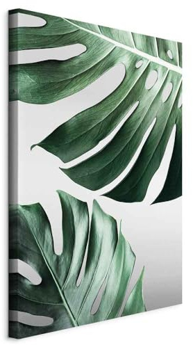 murando - Leinwandbild Monstera Natur grün, 80x120 cm, 1-teilig, Wohnzimmer | Hochwertige Leinwand, sofort aufhängbar, ideal fürs Wohn- oder Schlafzimmer, wasserfest und lichtecht, langlebig, stilvoll