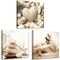 decomonkey Bilder Set Strand 120x40 cm 3 Teilig Wandbild Groß Leinwandbild XXL Deko Wohnzimmer Schlafzimmer Büro Wanddeko Leinwand Pictures For Wall Poster Muscheln Steine Seestern Herz Sand Kerze