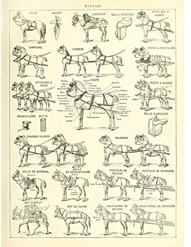 Meishe Art Poster Kunstdrucke Pferd Landwirtschaft Identifizierung Bezug Sammlung Alte Illustrationen Plakatdruck Pädagogisch Wissenschaft Jahrgang Plakate Drucken Wand Dekor