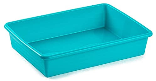 Acan Tradineur - Pack de 6 bandejas frigoríficas de Almacenamiento, plástico, Reutilizables, Servir Comida, Aperitivos, Fabricado en España - 3 litros - 30,5 x 23 x 6,5 cm – Color Surtido