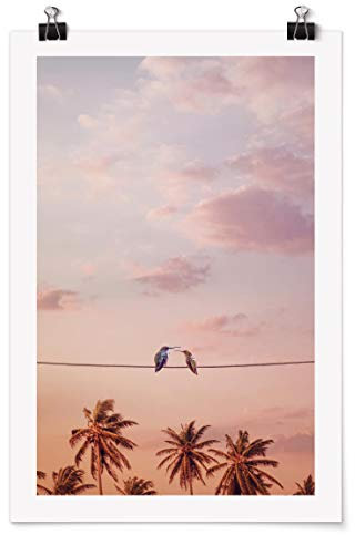 Bilderwelten Poster - Jonas Loose - Sonnenuntergang mit Kolibris - seidenmatt 45 x 30cm