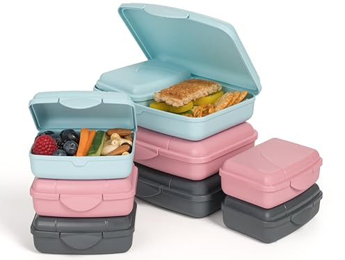 Hausfelder Brotdosen Set flach – Brotdose für Kinder und Erwachsene mit Fächern (RosePink/LimeGreen/SlateGrey, 9er Set)
