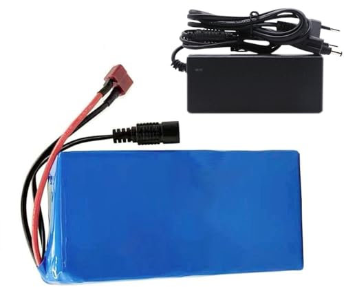 Batterie pour vélo électrique 24 V 10 Ah 13S2P Batterie lithium-ion pour vélo électrique Scooter électrique, kit de contrôleur de scooter électrique avec chargeurs 10AH+T+DC