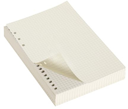 5 Packungen Ringbucheinlagen A5 Einlagen, 300 Blätter Nachfüllpapier Kariert für Notizbuch A5 Ringbuch Nachfüllbar Notizpapier, Nachfüllbare Refills für Notizbuch Skizzen Tagbuch Malerei Planer