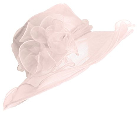 Caprilite Blush Pink Hat Fascinator Wedding Ladies Day Race Ascot Hatinator Brim Organza