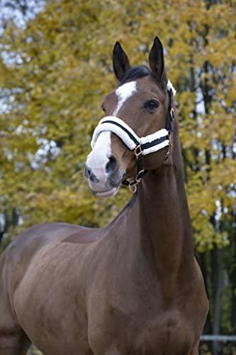 Symantec Norton Confort Halfter für Pferde, Schwarz, Größe