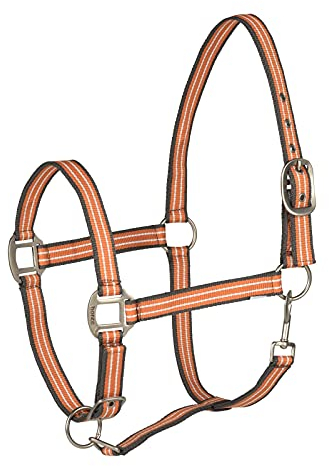 HORZE Adepto Halfter, Orange, F