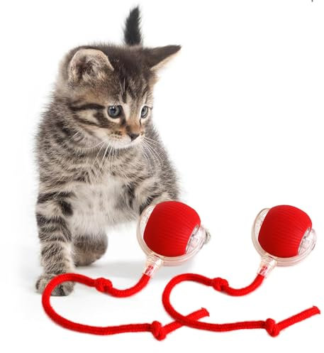 KQLHLHDYZ Giocattolo interattivo per gatti giocattolo per gatti per gatti da interno giocattolo per gatti adulti giocattolo intelligente per gatti giocattolo per gatti con sensore di movimento Smart