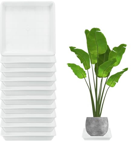 M METERXITY Paquete de 10 Platillos para Macetas, Bandeja de Goteo Cuadrada de Plástico de 7 Pulgadas para Flores, Platillo sin Agujeros Duradero para Macetas [Blanco]