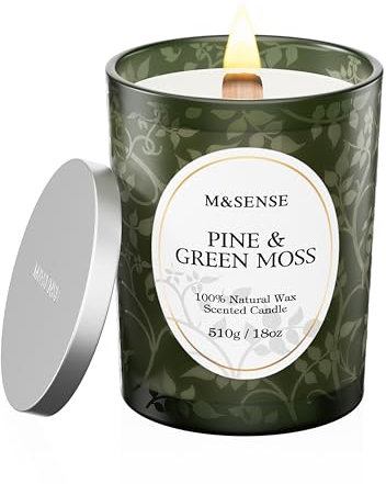 M&SENSE Duftkerze Kieferngrün Moos, Duftkerzen im Glas Groß 510g, 100h Lang Brennende, Holzdocht Kerzen, Sojawachs Kerzen mit Duft, Knisternder Docht Kerze für Schlaf, Meditation & Stressabbau